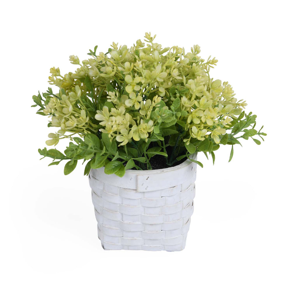 Milan Flower Potted Plant- Green