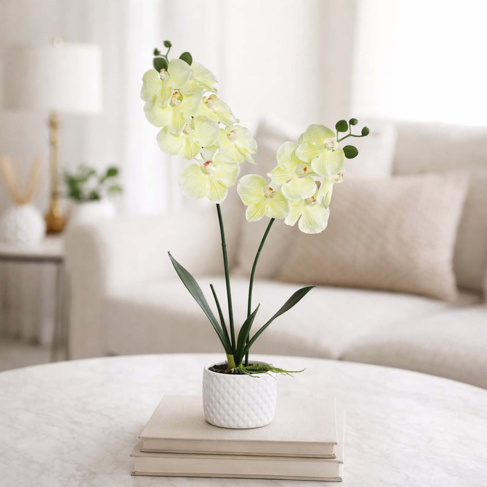 Elegant Orchid Artificial Potted Plant- Green
