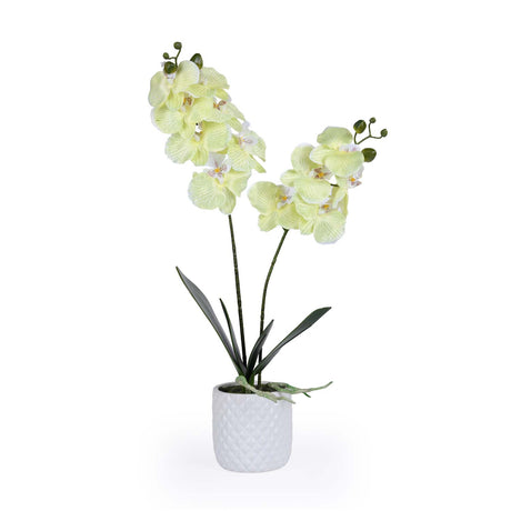 Elegant Orchid Artificial Potted Plant- Green
