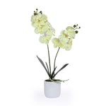 Elegant Orchid Artificial Potted Plant- Green