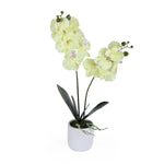 Elegant Orchid Artificial Potted Plant- Green