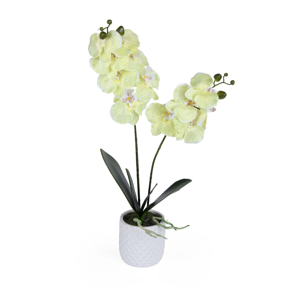 Elegant Orchid Artificial Potted Plant- Green