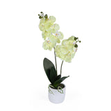 Elegant Orchid Artificial Potted Plant- Green