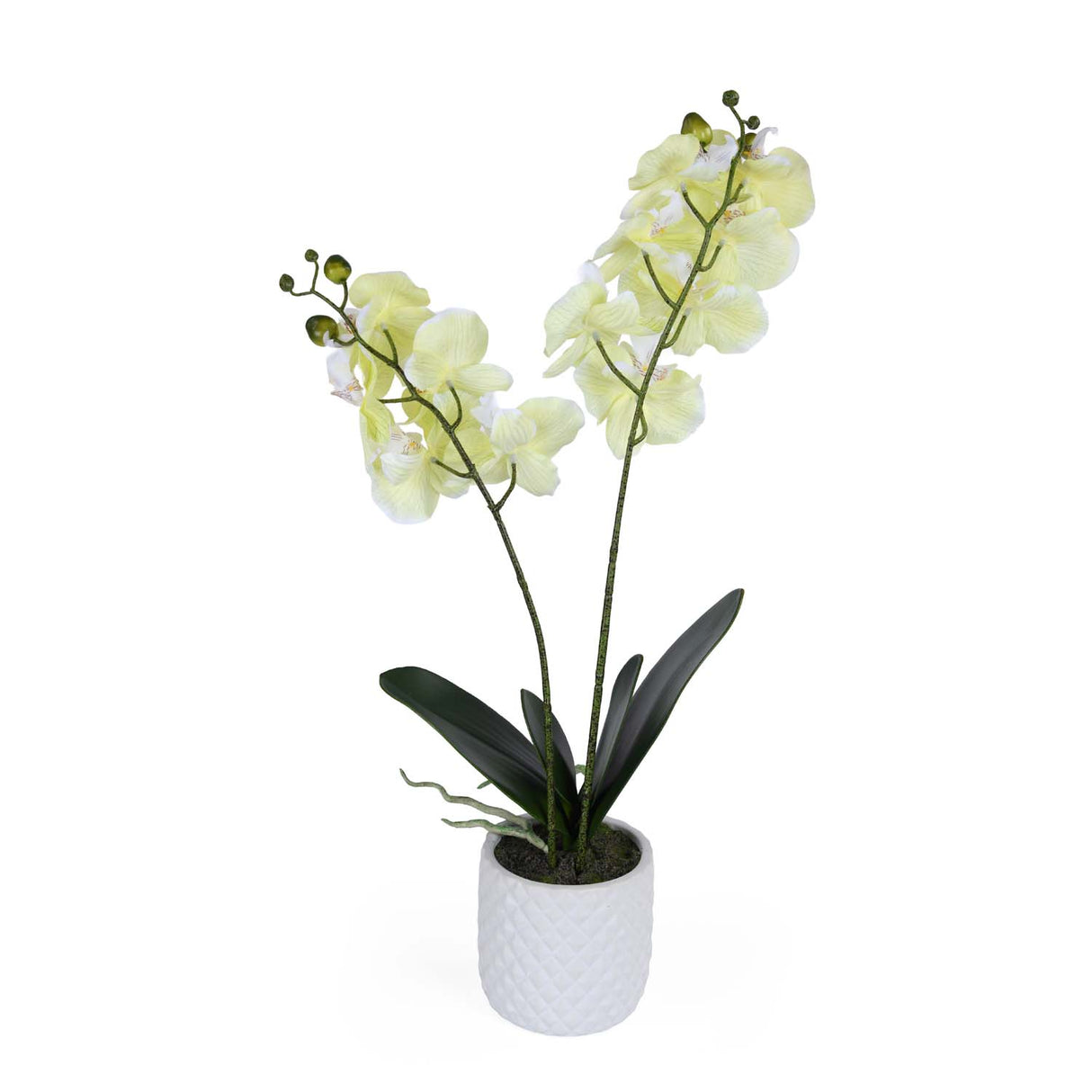 Elegant Orchid Artificial Potted Plant- Green