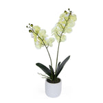 Elegant Orchid Artificial Potted Plant- Green
