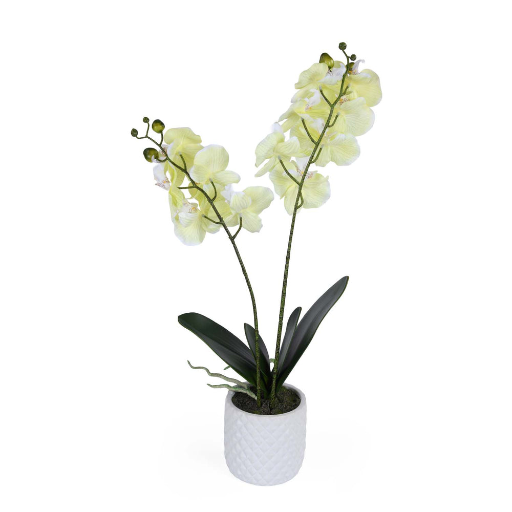 Elegant Orchid Artificial Potted Plant- Green