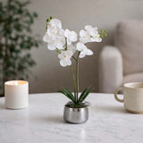Elegant Orchid Artificial Potted Plant- White