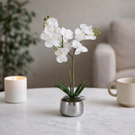 Elegant Orchid Artificial Potted Plant- White