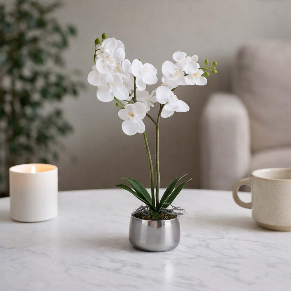 Elegant Orchid Artificial Potted Plant- White