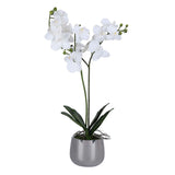 Elegant Orchid Artificial Potted Plant- White