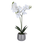 Elegant Orchid Artificial Potted Plant- White