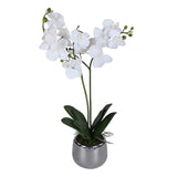 Elegant Orchid Artificial Potted Plant- White