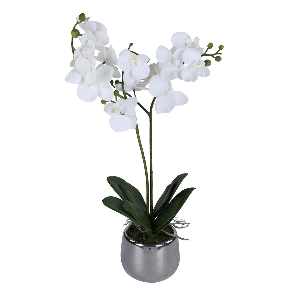 Elegant Orchid Artificial Potted Plant- White