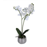 Elegant Orchid Artificial Potted Plant- White
