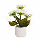 Artificial Sunflower Ceramic Potted Plant - White