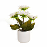 Artificial Sunflower Ceramic Potted Plant - White