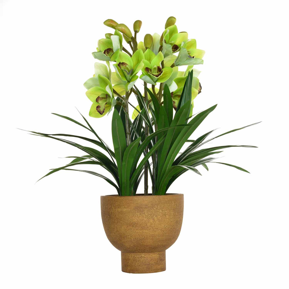 Artificial Orchid Flower Potted Plant - Green