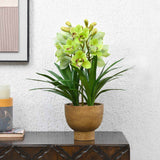 Artificial Orchid Flower Potted Plant - Green