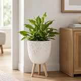 Tri-Leg Textured Fiber Clay Planter- Off White