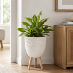 Tri-Leg Textured Fiber Clay Planter- Off White