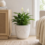 Textured Fiber Clay Planter- Off White