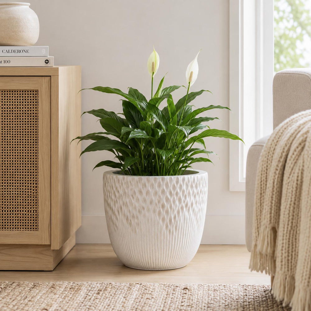 Textured Fiber Clay Planter- Off White