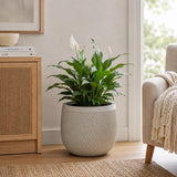 Textured Fiber Clay Planter- Green