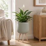 Tri-Leg Textured Fiber Clay Planter- Green