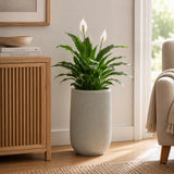 Textured Fiber Clay Planter- Green