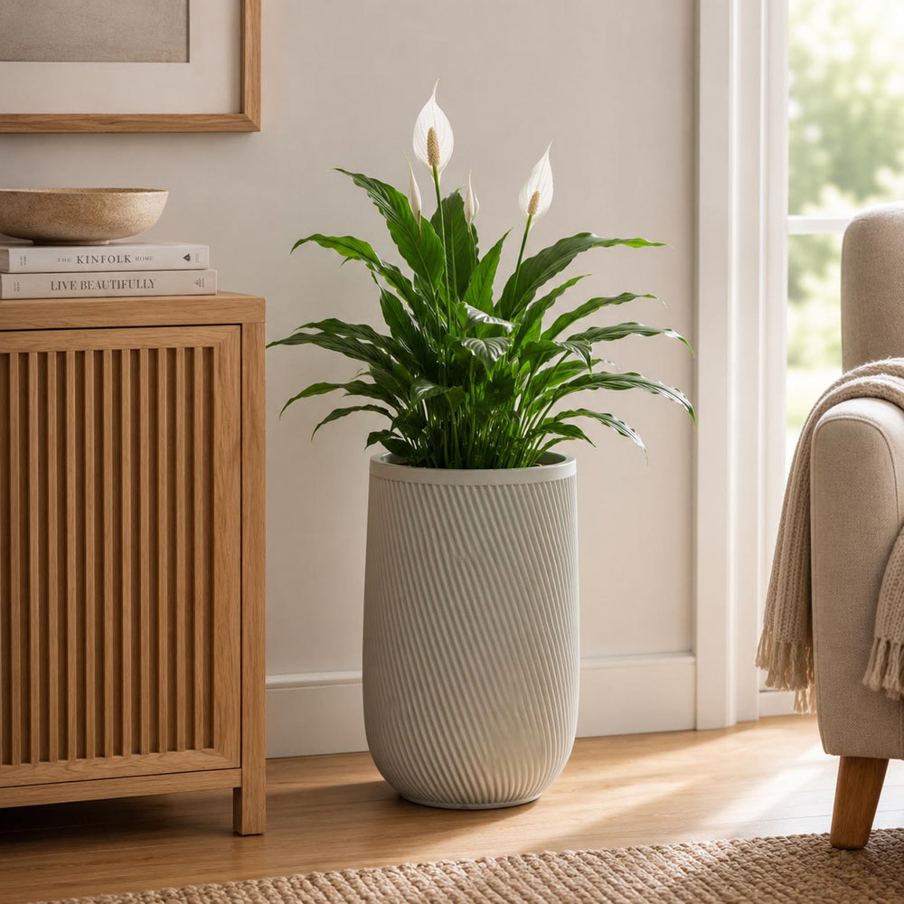 Textured Fiber Clay Planter- Green