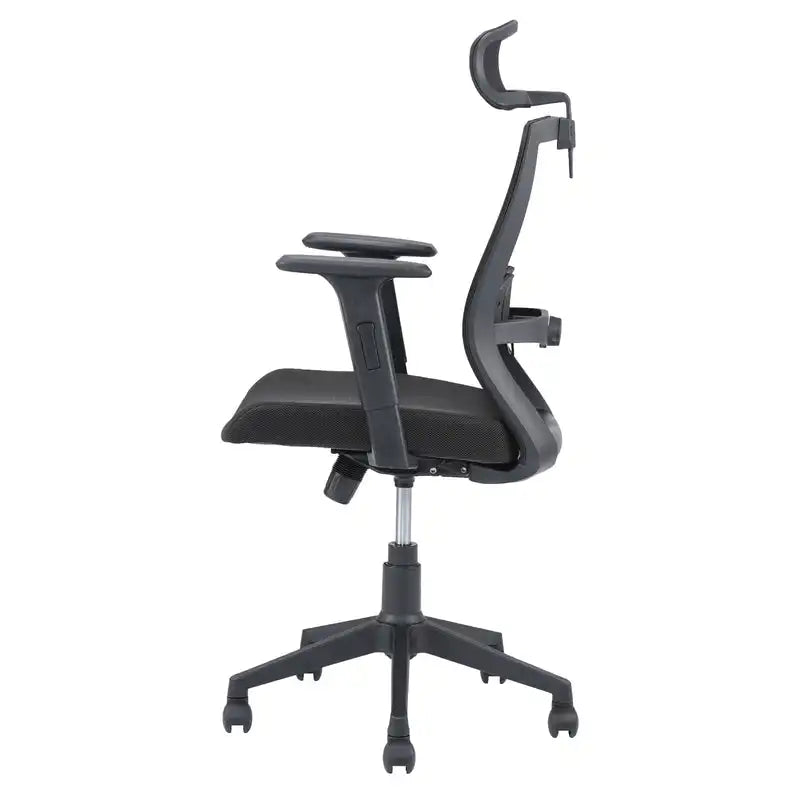 Hexon High Back Mesh Office Chair with Adjustable Arm (Black)