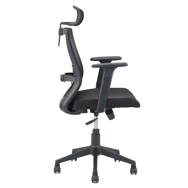 Hexon High Back Mesh Office Chair with Adjustable Arm (Black)