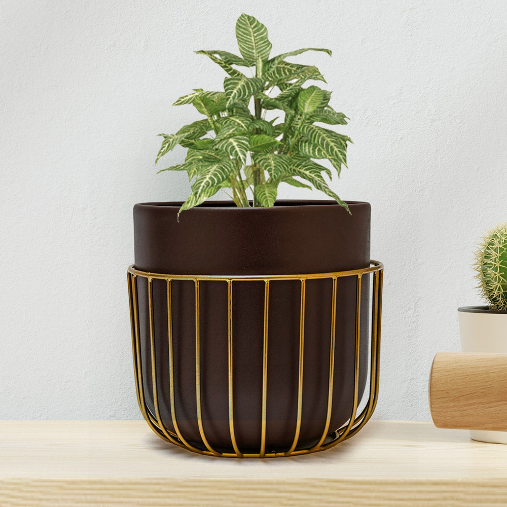 Nilkamal Metal Jali Planter 19 Cm Brown Gold