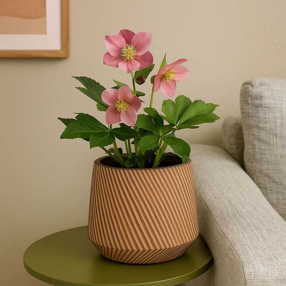 Oval Large Polyresin Planter - Brown