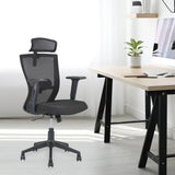 Nilkamal Hexon High Back Mesh With Adjustable Arm Chair (Black)