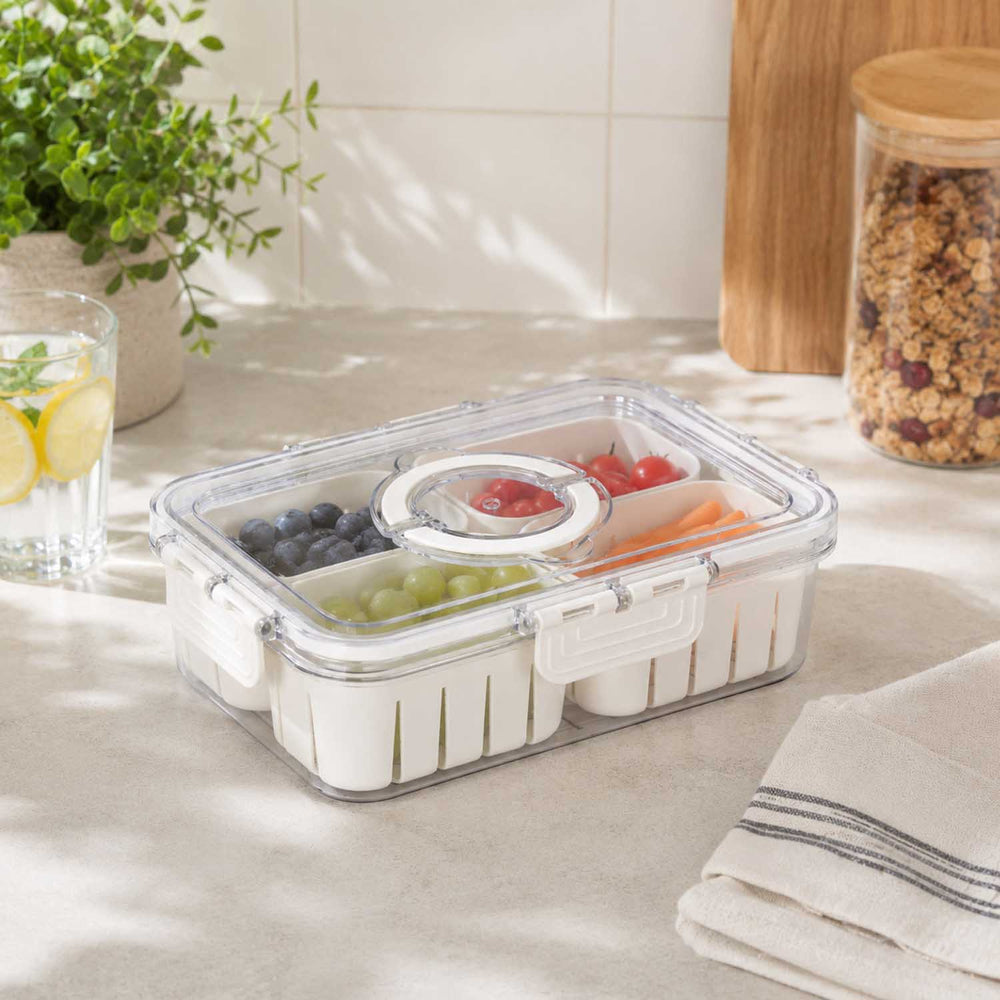 Rectangular 4 Compartment Storage Cannister with Lid and Handle-Cream