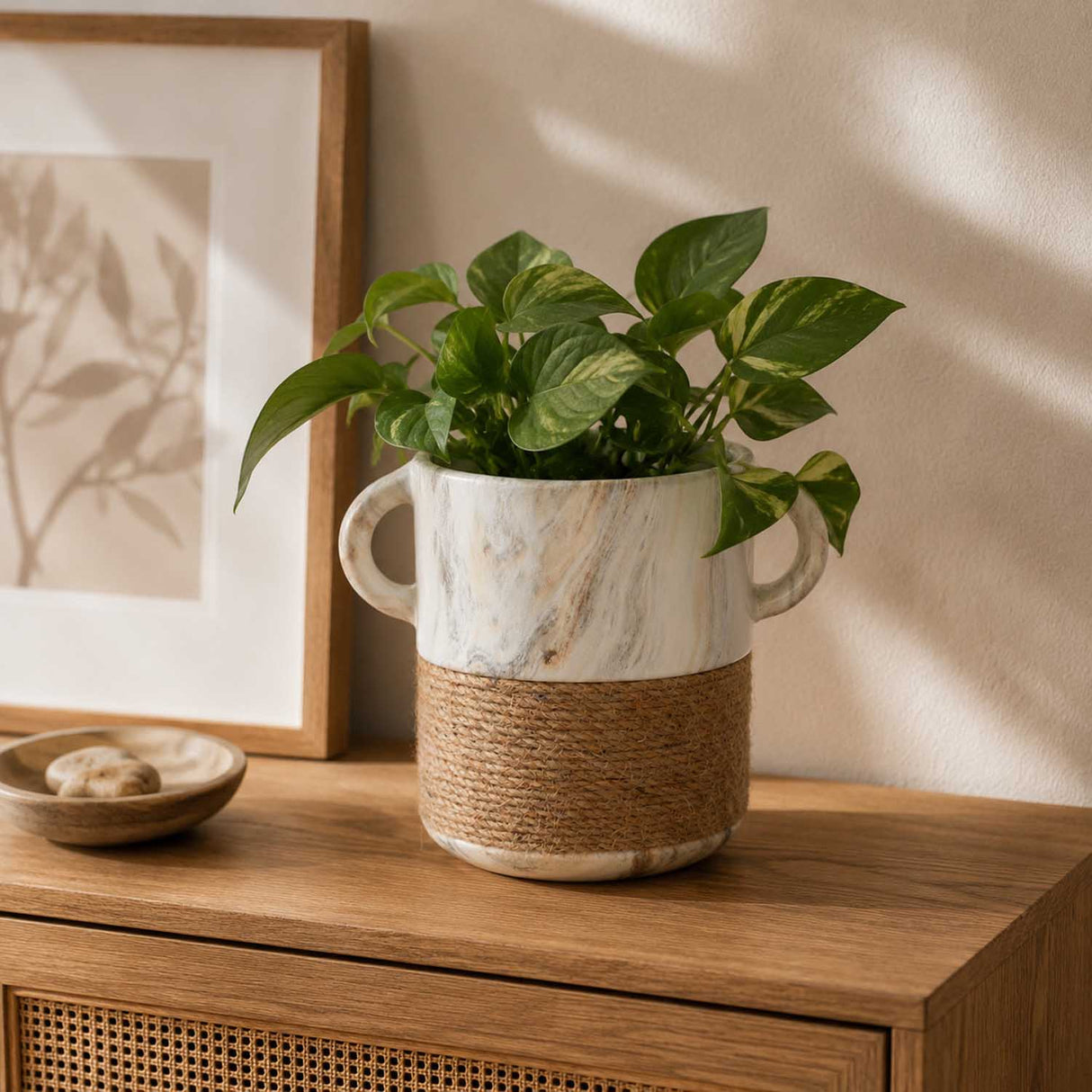 Dual Tone Ceramic Planter- White & Brown