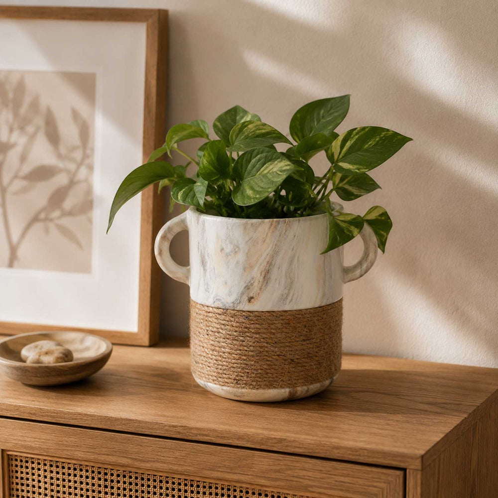 Dual Tone Ceramic Planter- White & Brown