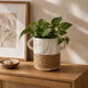 Dual Tone Ceramic Planter- White & Brown