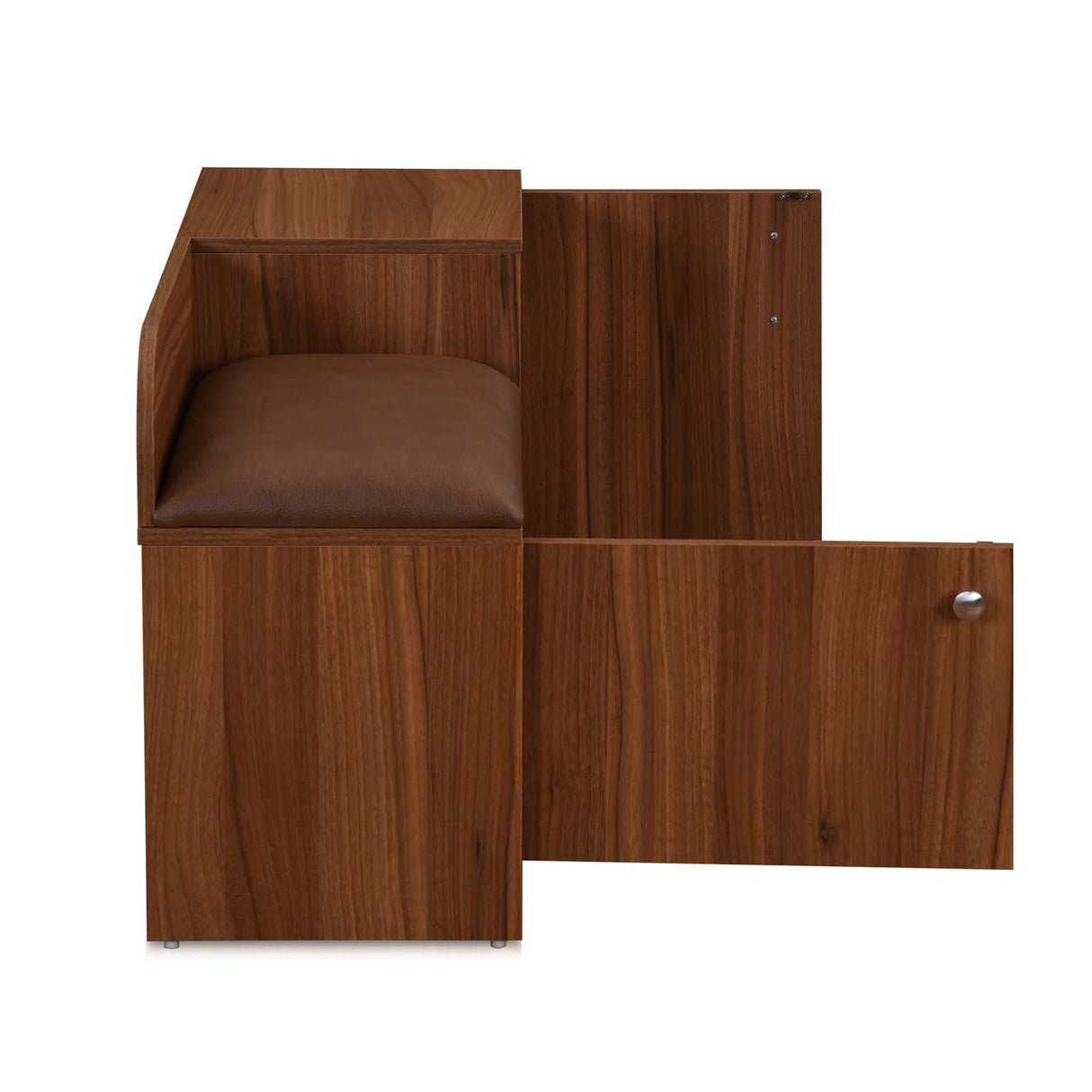 Magnus 2 Door Shoe Cabinet- Lyon Walnut