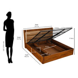 Linea King Bed with Hydraulic Storage- Honey Walnut