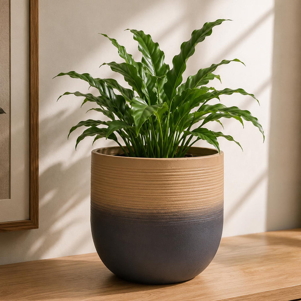 Ombre Metal Planter- Beige