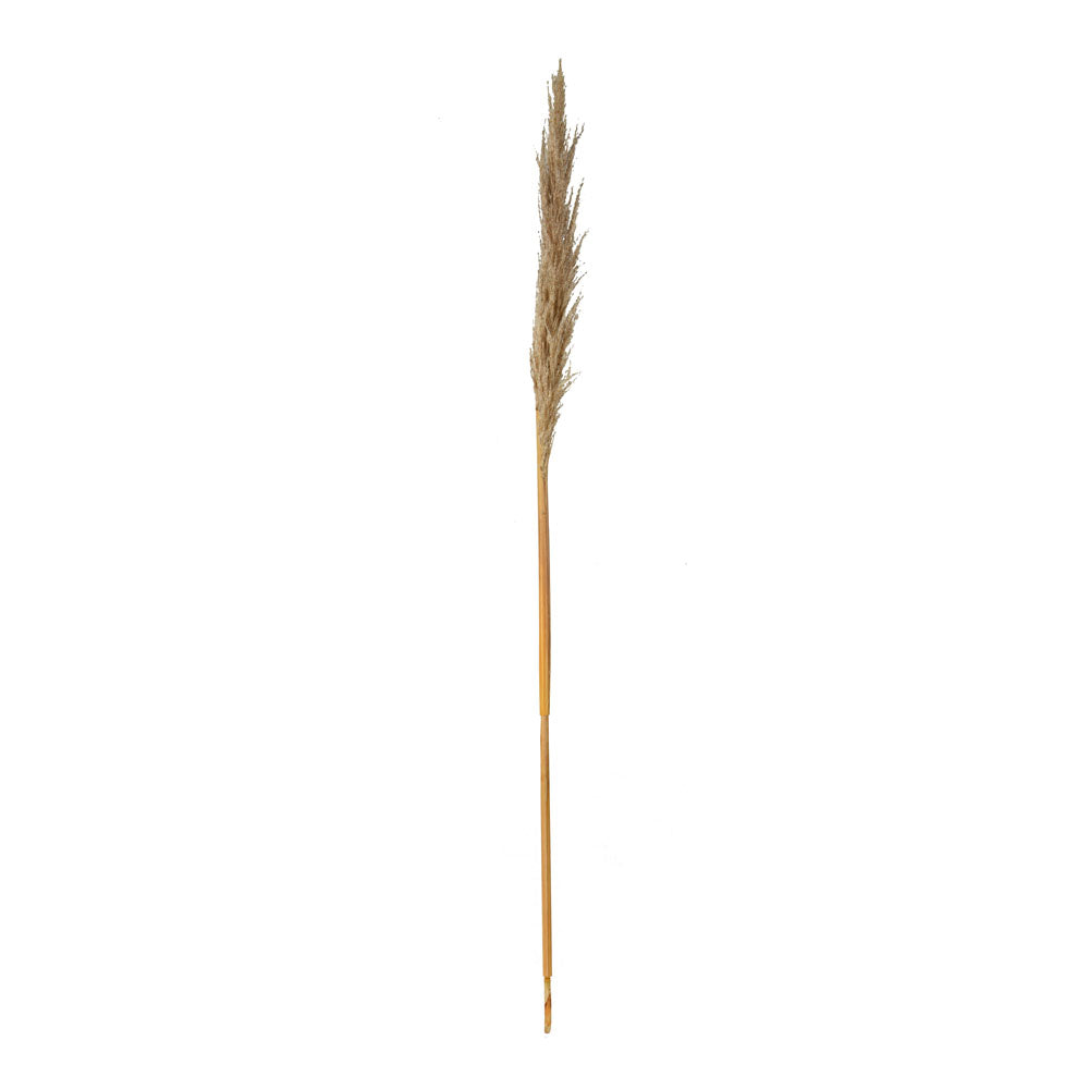 Artificial Filler Stick - Cream