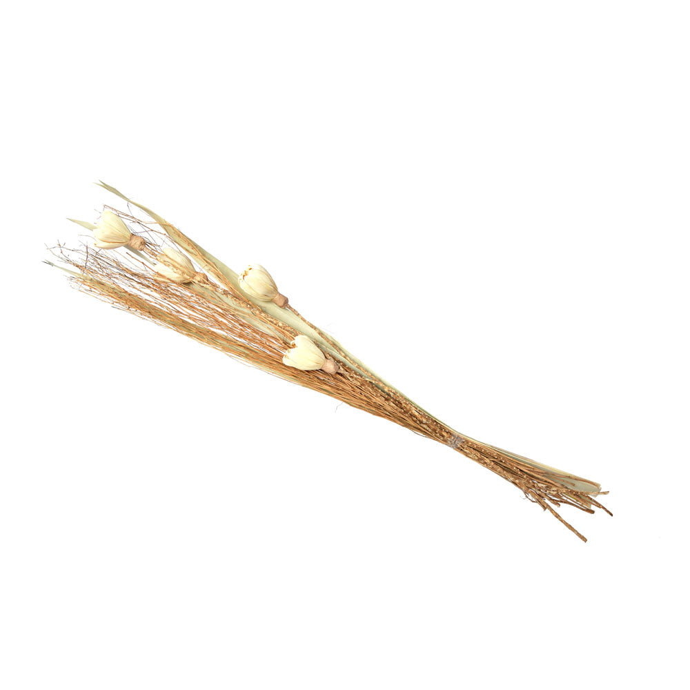 Meize Stick Decorative Maize Flower Dry Stick (Beige) – Nilkamal Homes