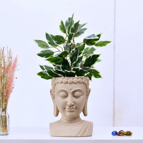 Nilkamal Buddha Bust Polyresin Planter (Sand)