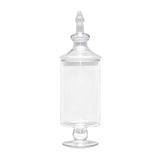 Decorative Glass Multipurpose Vase Jar Small- Transparent