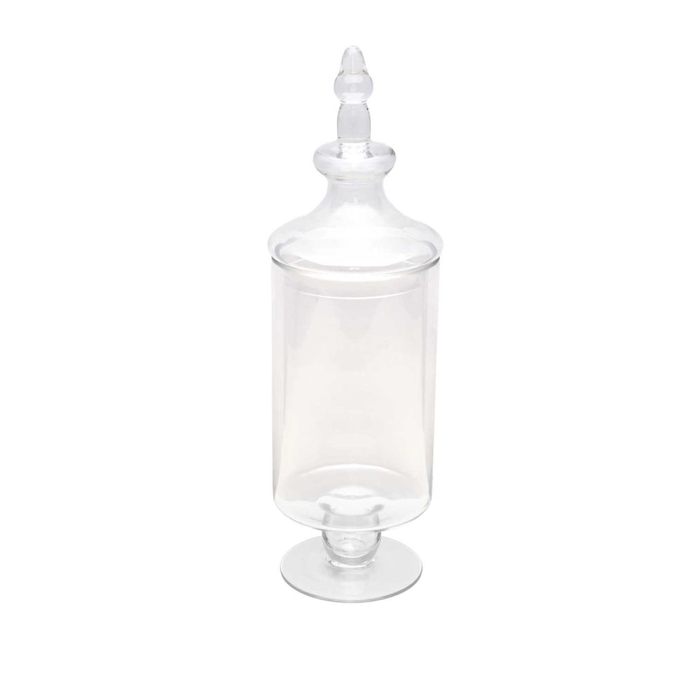 Decorative Glass Multipurpose Vase Jar Small- Transparent