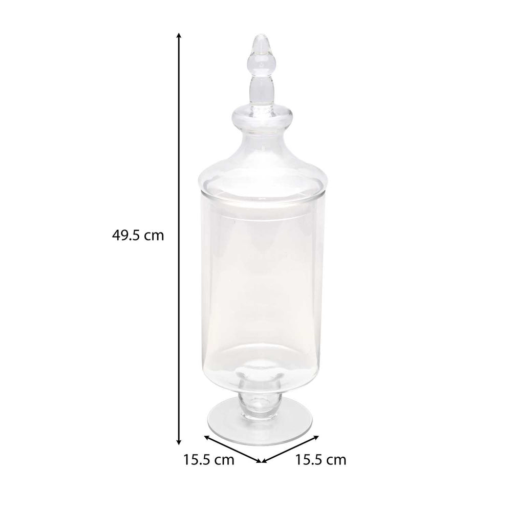 Decorative Glass Multipurpose Vase Jar Small- Transparent