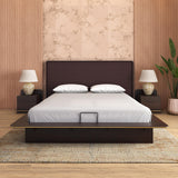 Triton Queen Bed with Hydraulic Storage (Cocoa Brown)
