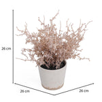 Flocking Artificial Potted Plant- Pink